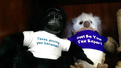 Thomas G. Rex, CPA