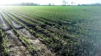 Farm CPA & Tax Preparation