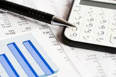 THE TAX PROFESSIONALS