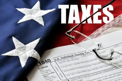 eTax Professional Accounting