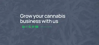 The Green Leaf CPA