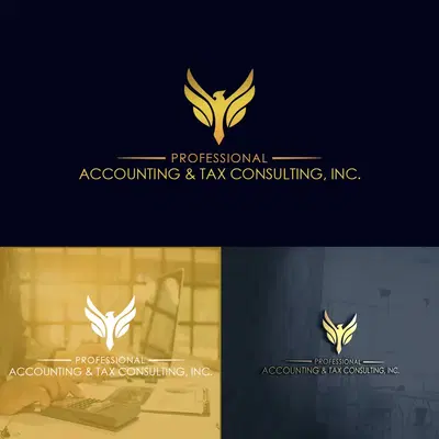 Professional Accounting & Tax Consulting, Inc.