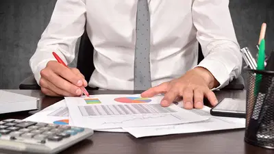 Lapensohn Accounting Professionals LLC